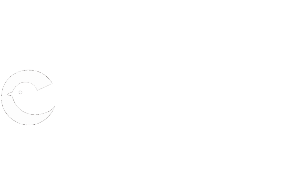 Cactus Logo